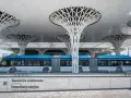 Nowoczesny dworzec autobusowy w Lublinie, z niebieskim autobusem i charakterystycznymi, drzewiastymi podporami dachu. Podróż z Lublina do Białej Podlaskiej tym środkiem transportu to czysta przyjemność.
