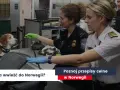 Alkohol do Norwegii samolotem? Poznaj limity i uniknij mandatu!