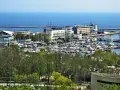 Widok na port jachtowy w Gdyni z licznymi łodziami i budynkami w tle.
