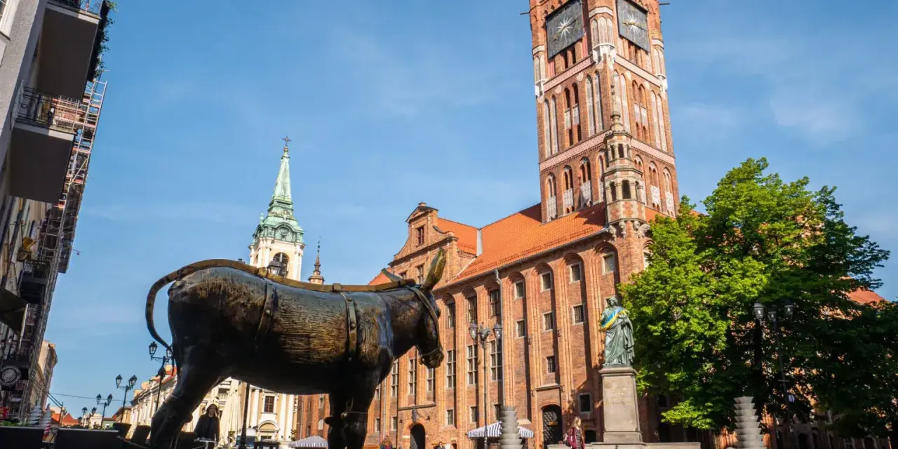 Pomnik osiołka na Rynku Staromiejskim w Toruniu. Jak dojadę do Torunia? Tu zaczyna się przygoda!