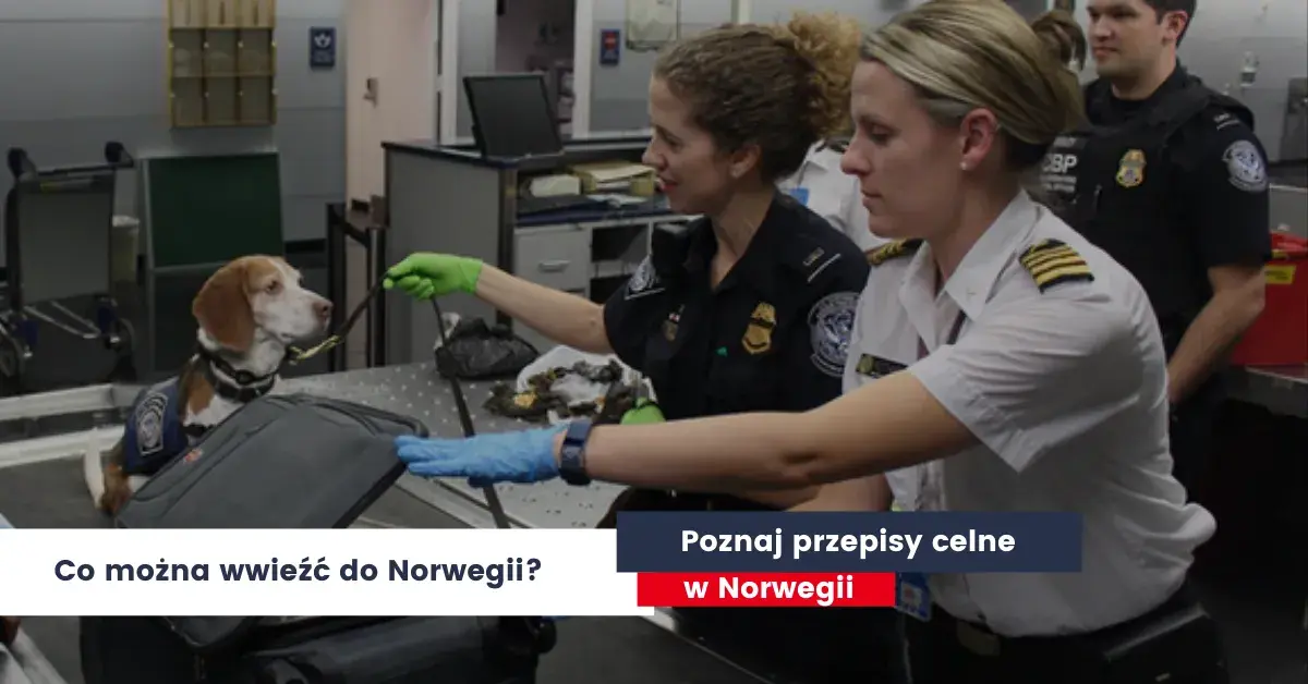 Alkohol do Norwegii samolotem? Poznaj limity i uniknij mandatu!