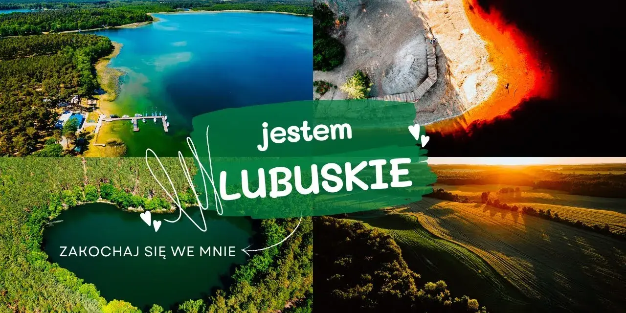 Lubuskie: Co zobaczyć? Od winnic po bunkry gotowy plan wycieczki!