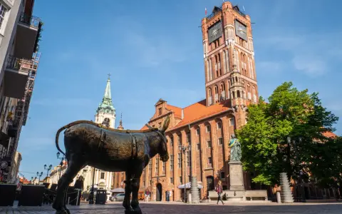 Pomnik osiołka na Rynku Staromiejskim w Toruniu. Jak dojadę do Torunia? Tu zaczyna się przygoda!