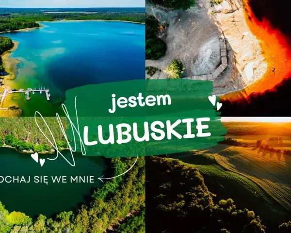 Lubuskie: Co zobaczyć? Od winnic po bunkry gotowy plan wycieczki!