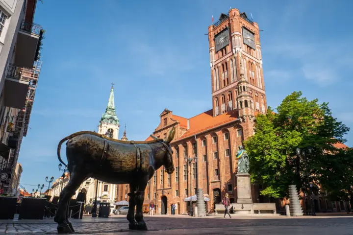 Pomnik osiołka na Rynku Staromiejskim w Toruniu. Jak dojadę do Torunia? Tu zaczyna się przygoda!