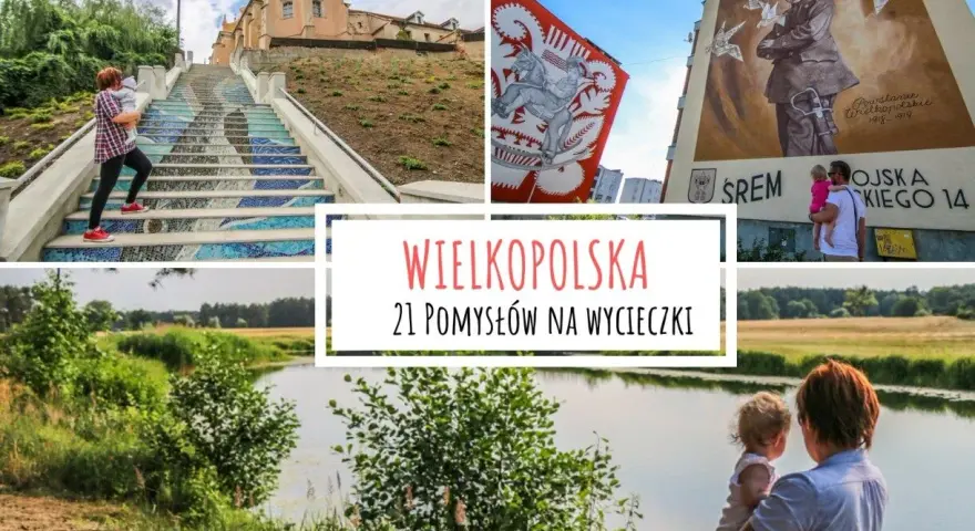 Wielkopolska: co zwiedzić? Odkryj skarby regionu z ekspertem!