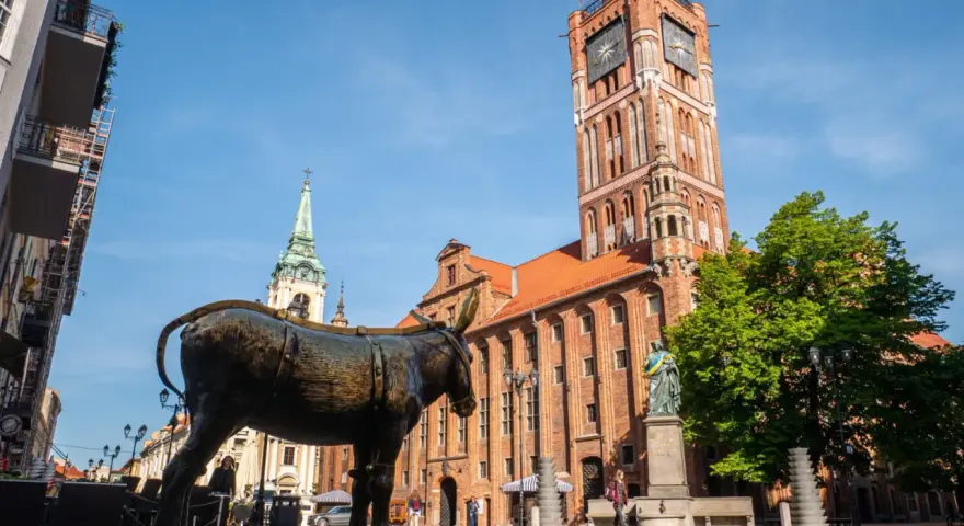 Pomnik osiołka na Rynku Staromiejskim w Toruniu. Jak dojadę do Torunia? Tu zaczyna się przygoda!